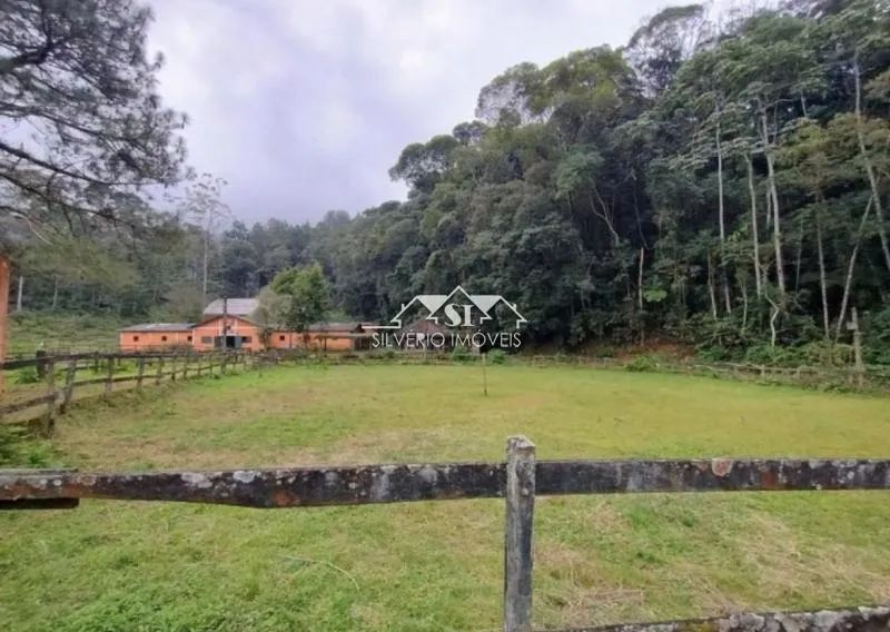 Terreno- Petrópolis, Mosela - Foto 5