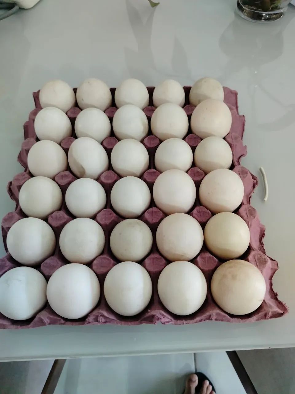 Ovo de Pata unidade - Foto 2