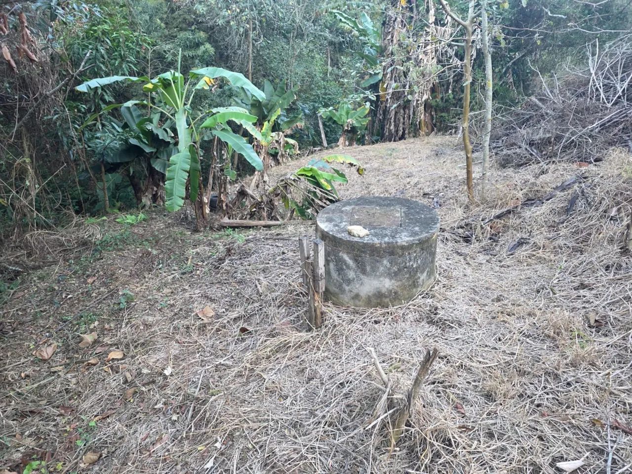CHÁCARA EM OURO FINO - Foto 5
