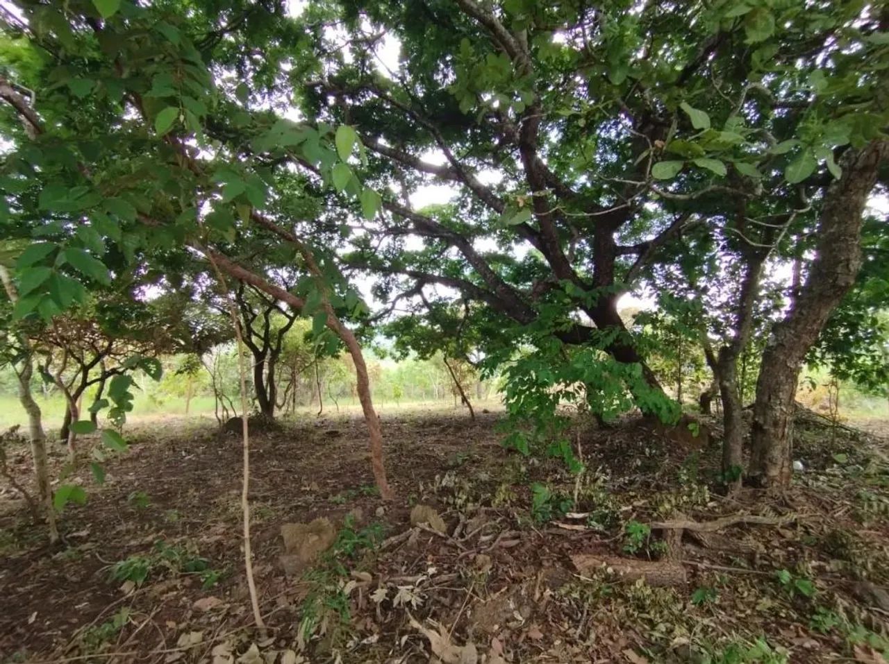 Vendo Chácara 1000m² vista para serra - Foto 2
