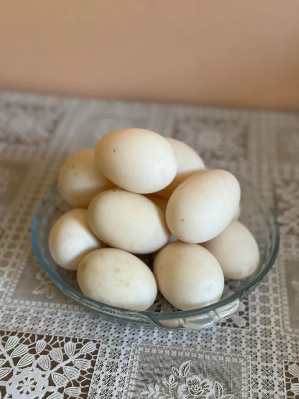 Marrecos  - Foto 4