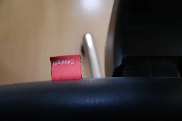 Cadeira de escritório Cavaletti - Foto 4