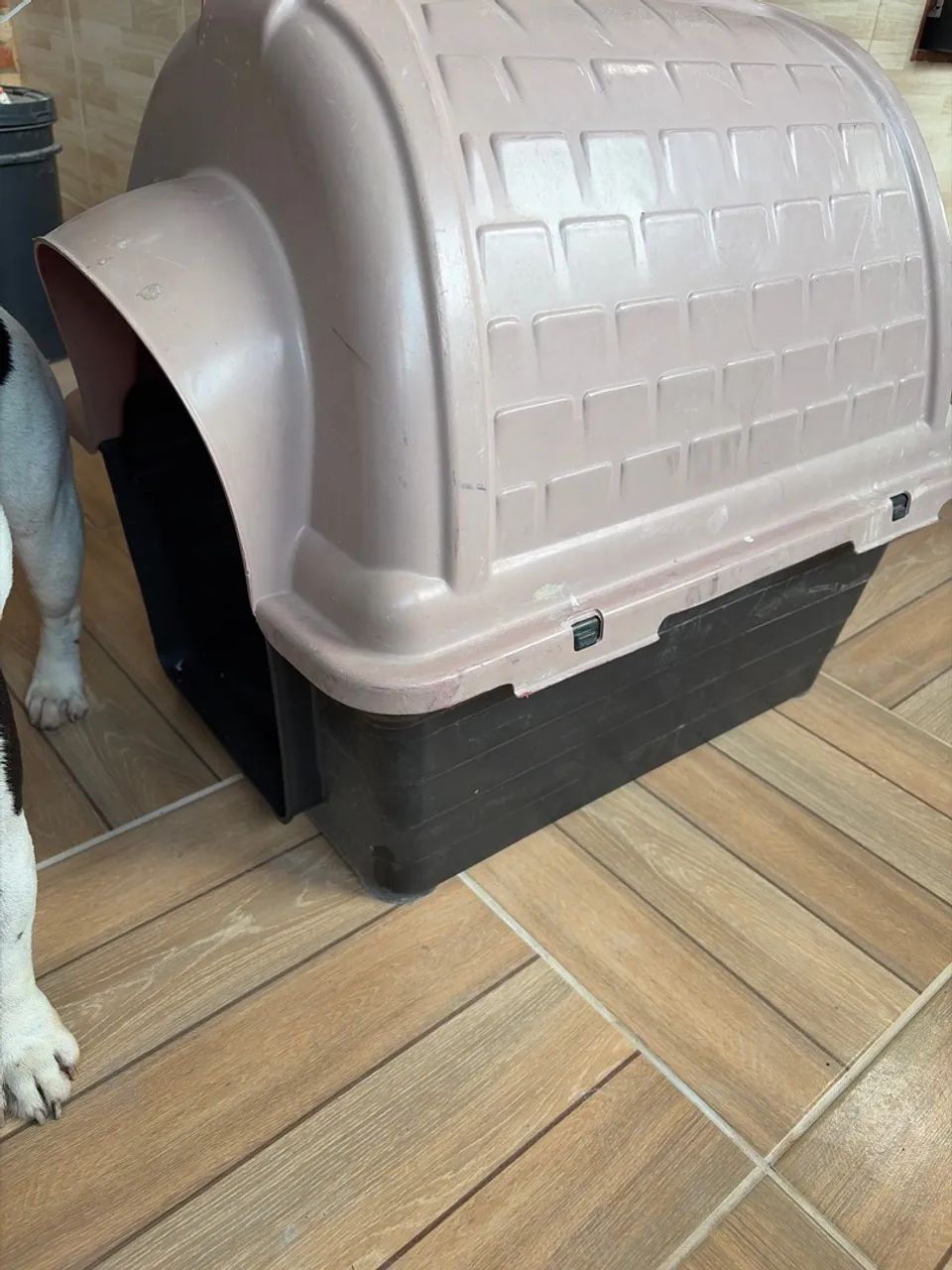 Casa para PET - Foto 2