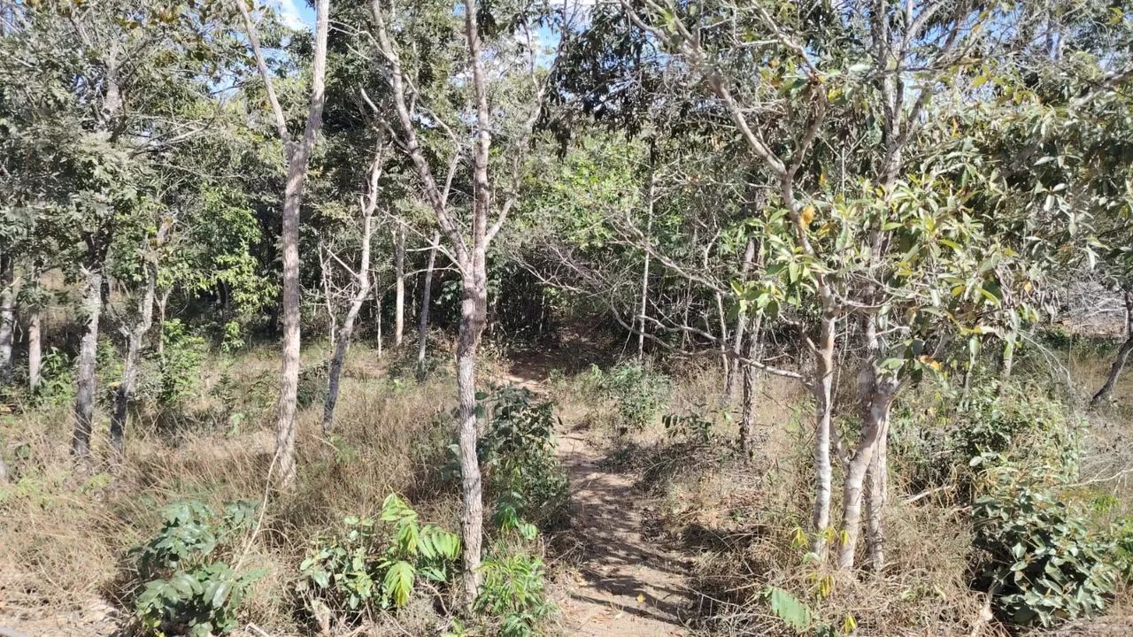chácara Cromínia 75 km gyn - Foto 3