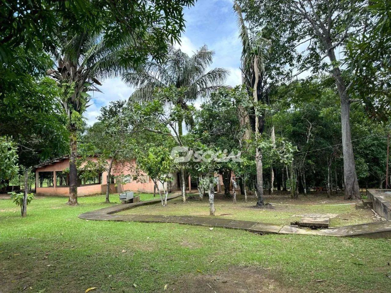 Excelente Chácara com igarapé - Planalto - Foto 4