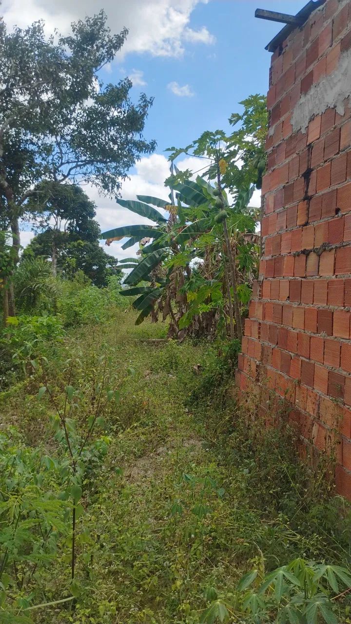 Terreno todo plano 15 de largura pô 60 de comprimento  - Foto 4