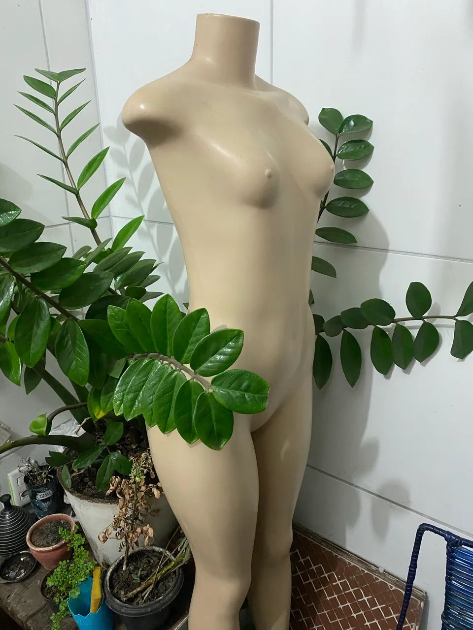 Manequim corpo feminino 