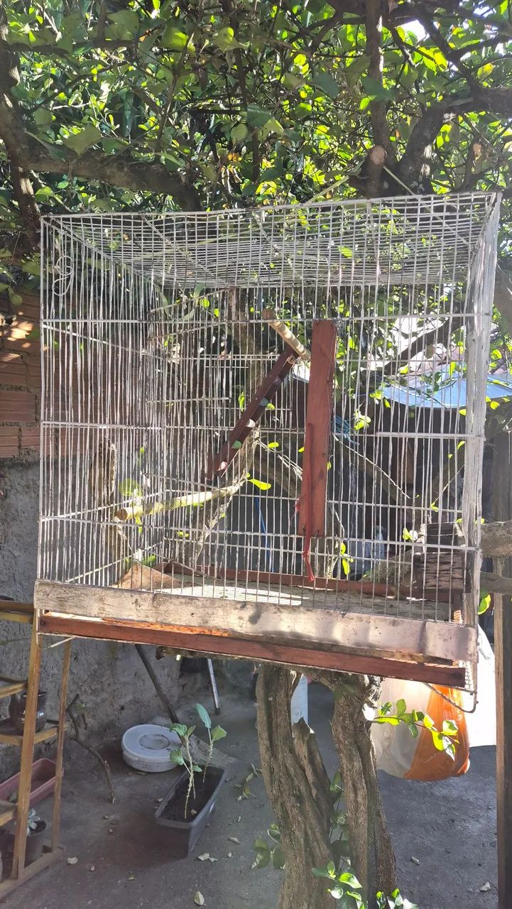 Gaiola de pássaro  - Foto 2