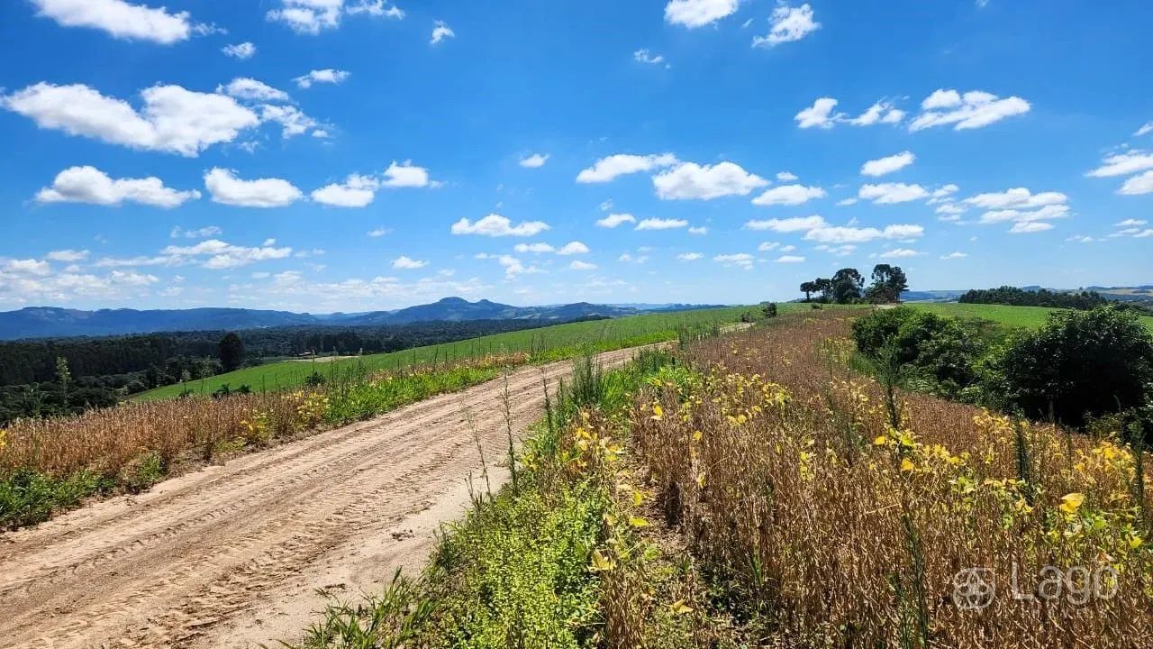 Área Rural Prudentópolis - Foto 4