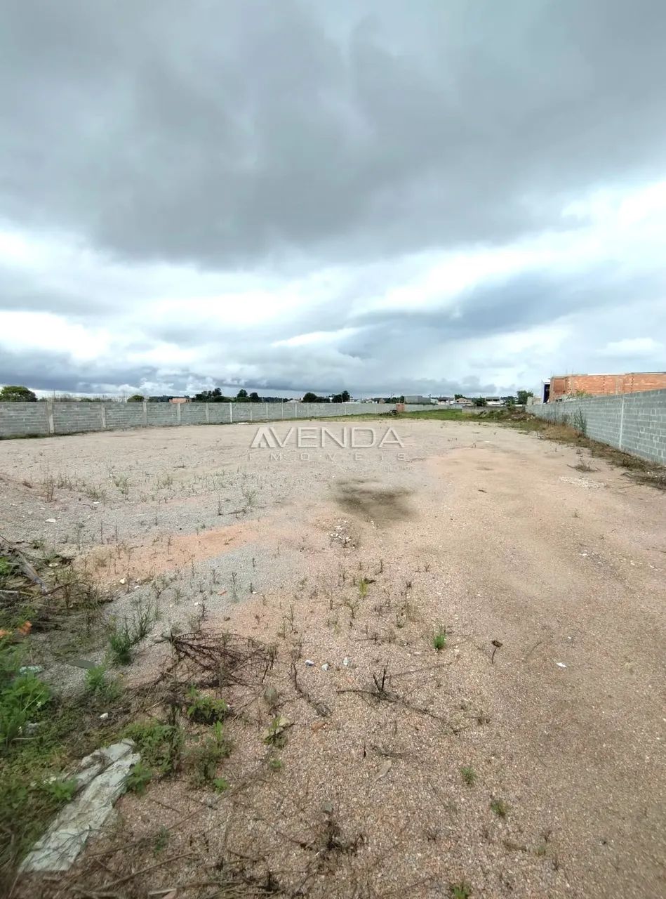 TERRENO PLANO EM PIRAQUARA - Foto 5