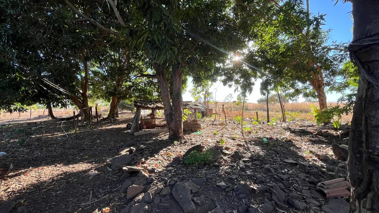 Chácara à venda próximo a Barrolândia-TO | Casa, pomar formado e excelente localização - Foto 5
