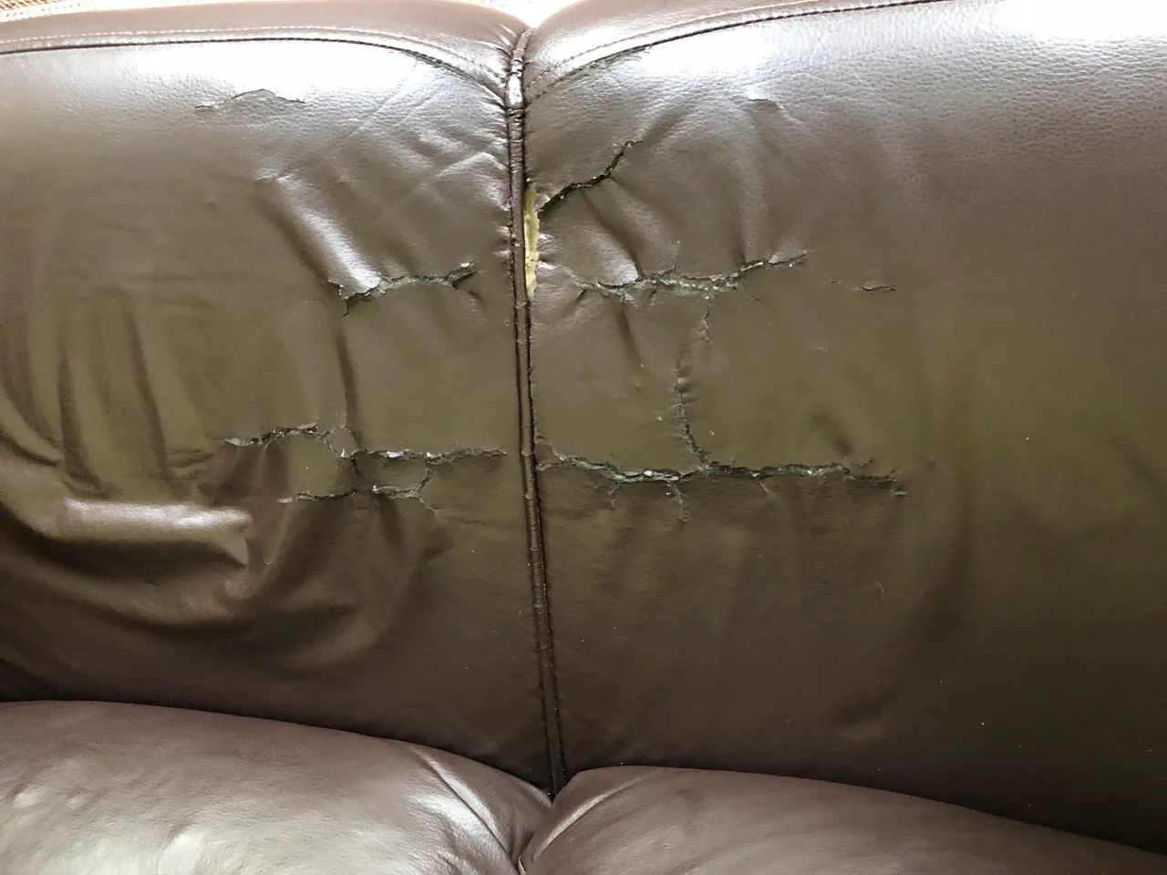 Sofá Couro65204303097218121