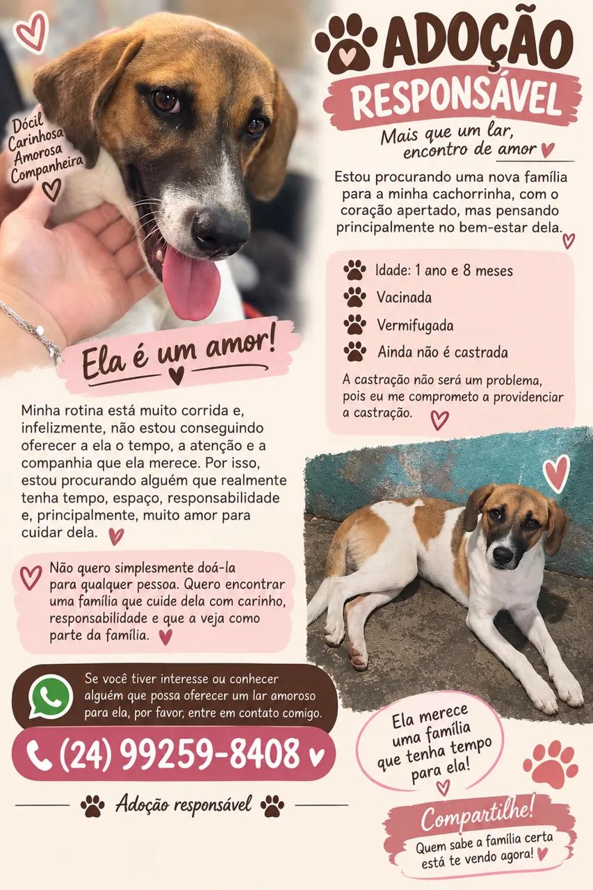 Adoção 
