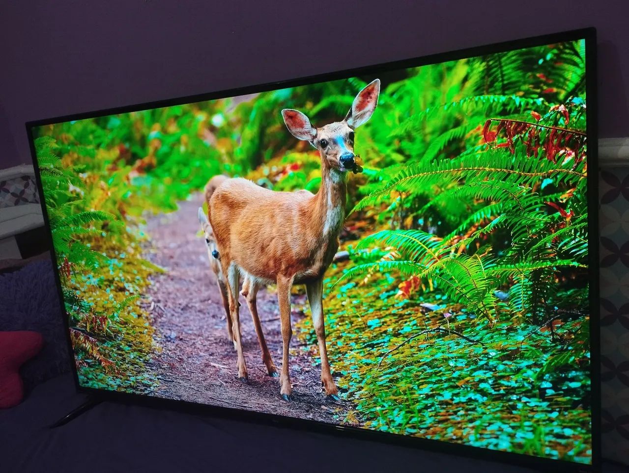 SMART TV 43 POLEGADAS  - Foto 3