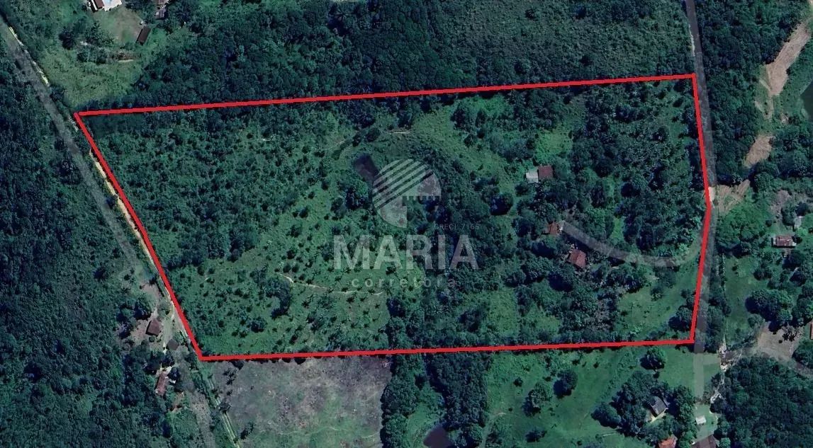 Granja com 08 hectares em São Lourenço da Mata/PE! - Foto 4