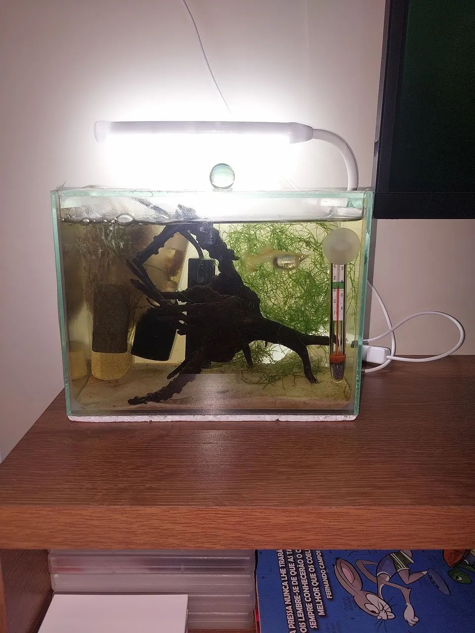 Aquário sump completo  - Foto 6
