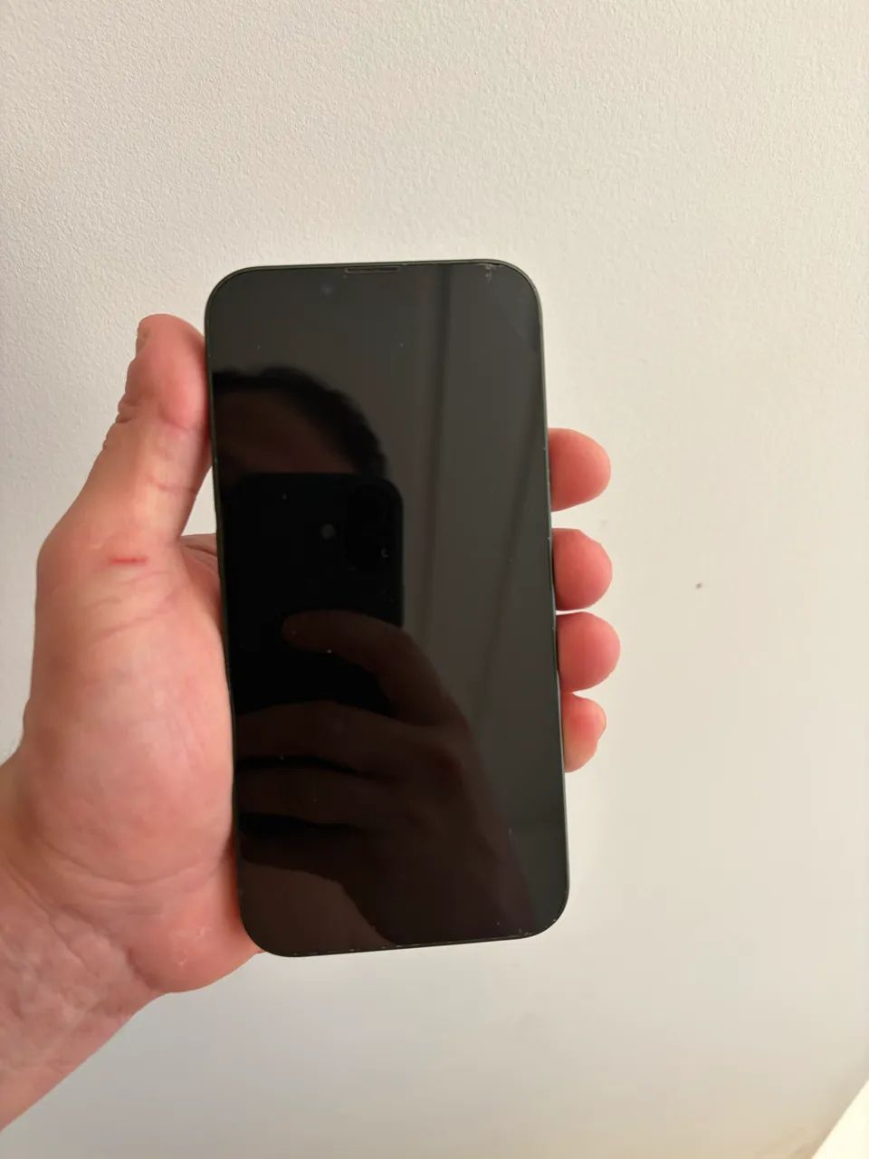 Vendo iPhone 13 126GB - Verde