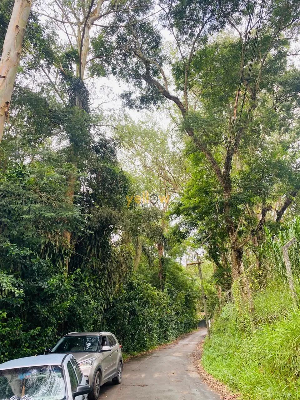 Sítio em Mirante - Arujá - Foto 3