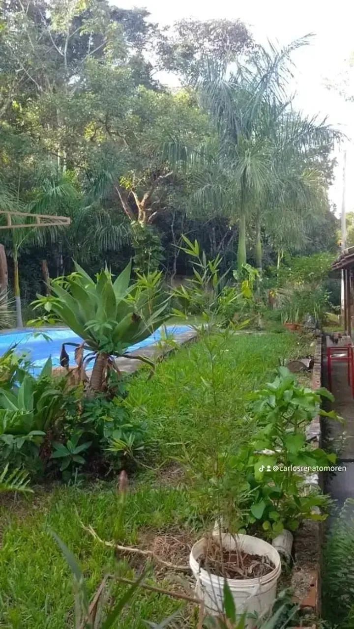 VENDO CHÁCARA CALDAZINHA  - Foto 3