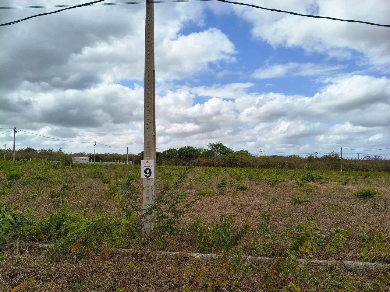 Vendo terreno em trairi - Foto 2