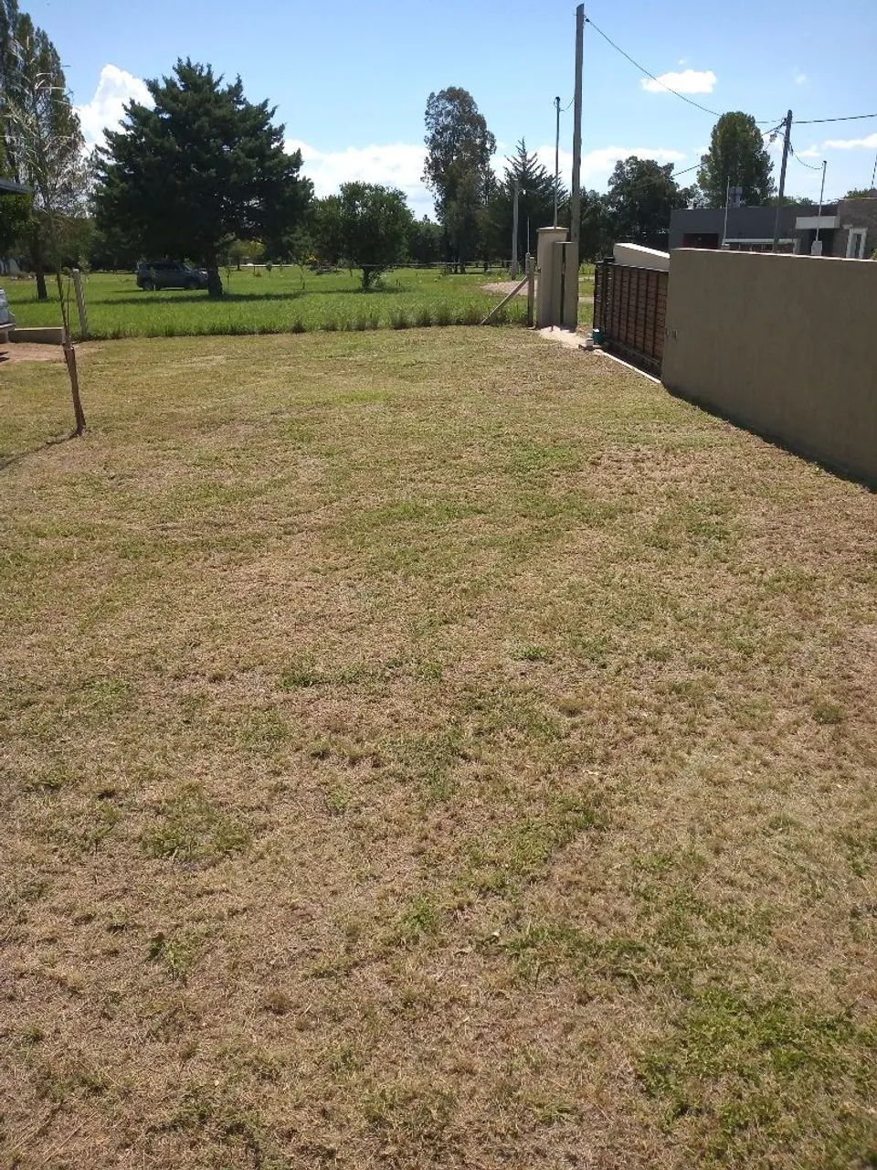 Manutenção geral cabanas e lotes. Roçadas e poda - Foto 4