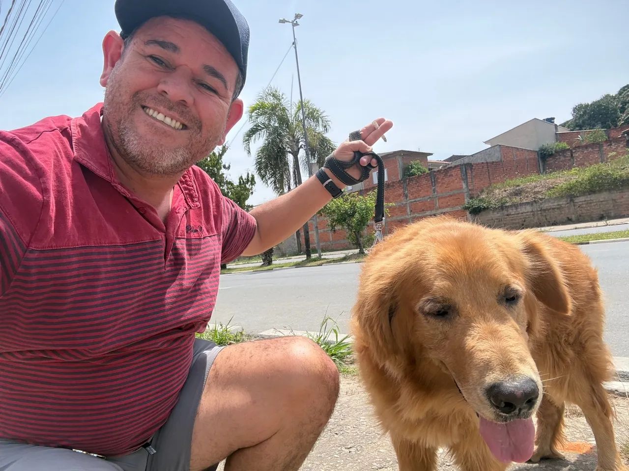 Golden Retriever DOA-SE - Foto 3