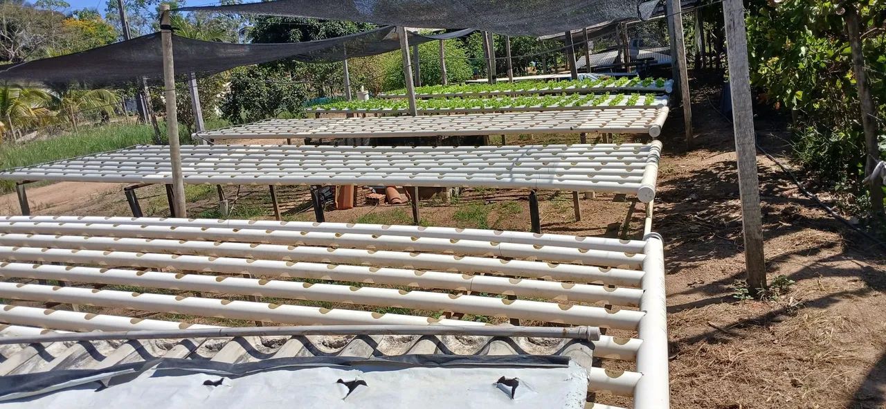Hidroponia NFT - Foto 5
