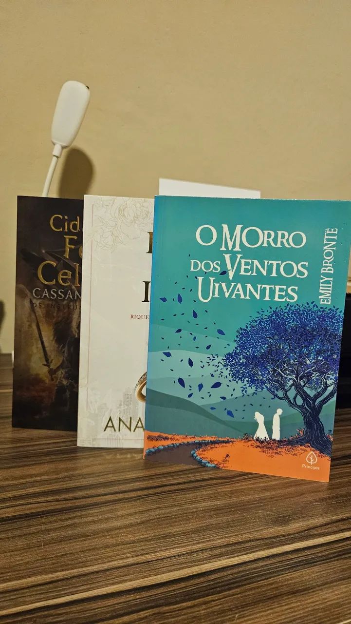 Kit de livros