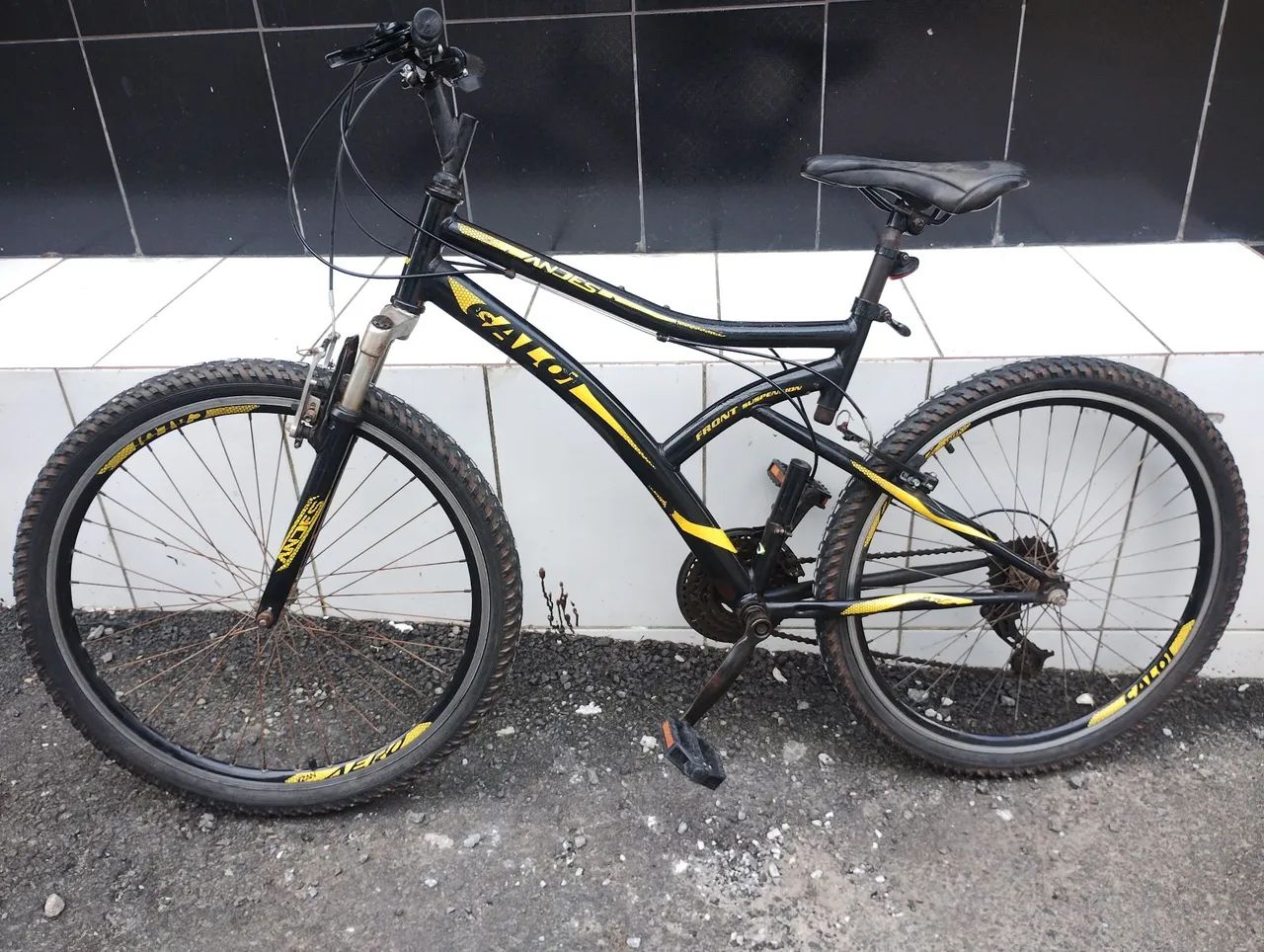 Bicicleta 