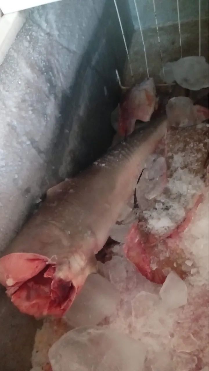 Freezer - Foto 2