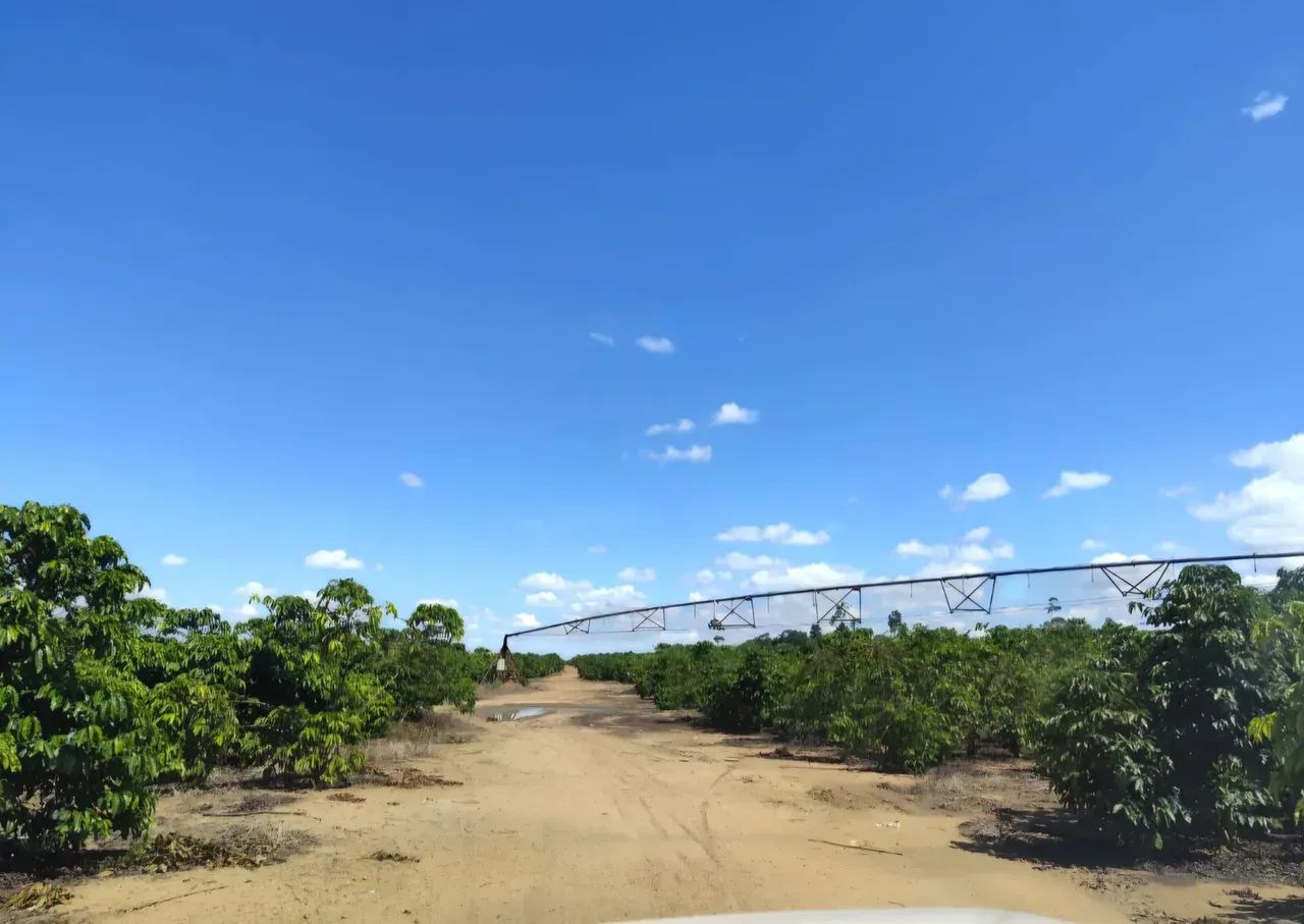 fazenda dupla aptidão pinheiros - Foto 3