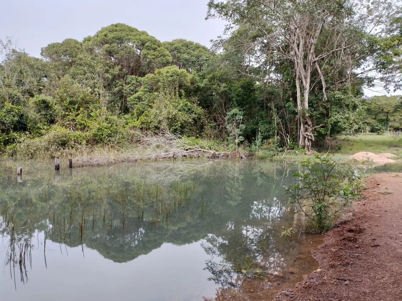 Sítio em Caseara Tocantins  - Foto 5