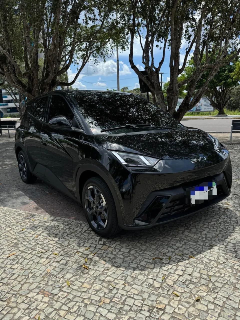 BYD Dolphin Mini (Elétrico) 2026 - Foto 3