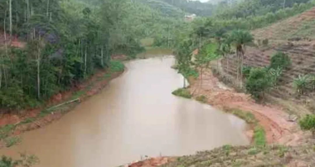 LINDO SITIO COM 6,19 ALQUEIRES EM CONCEIÇÃO DO CASTELO ES. - Foto 5