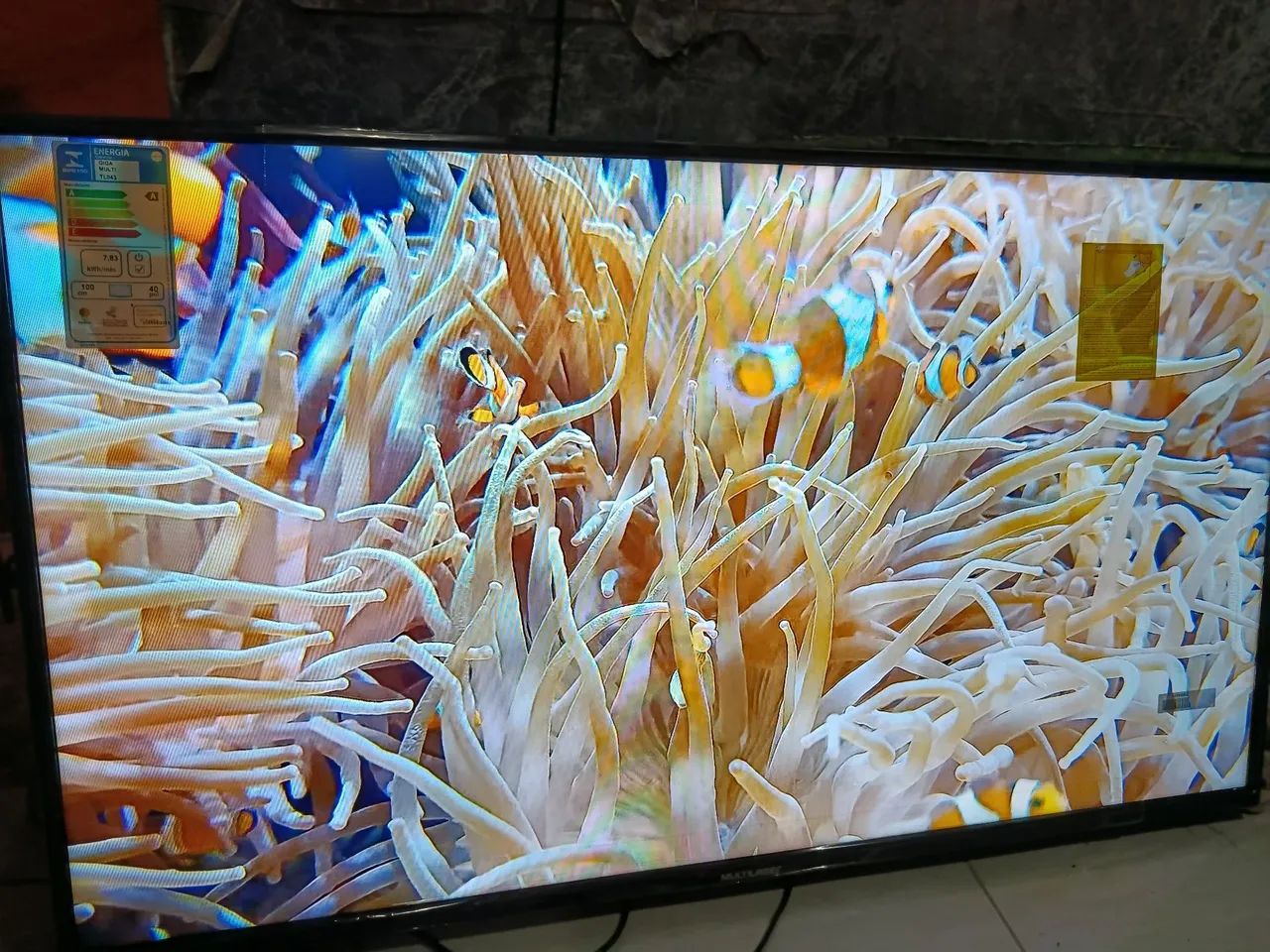 Tv Multi 40" NOVA - Foto 3