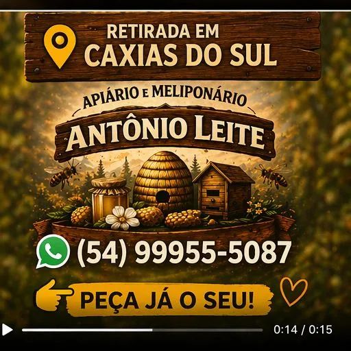 Venda de Mel - Foto 3
