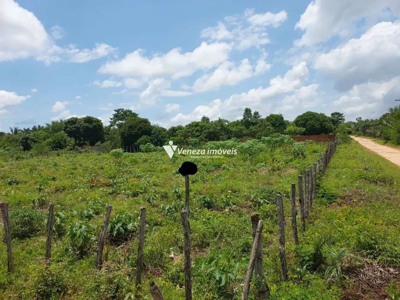 Terreno no povoado nova Olinda a venda - Foto 2