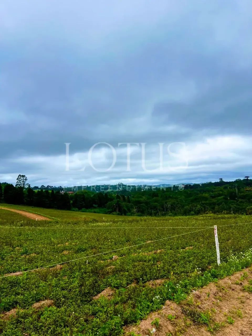 82C-TERRENO 500M COTIA, DIRETO COM PROPRIETÁRIO - Foto 4