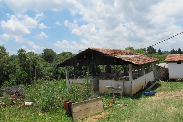 50 metros da Br/ 1 alqueire e 32 litros - Foto 4