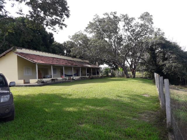 Fazenda 3500Ha - Ribeirão Cascalheira / Agua Boa - Foto 4