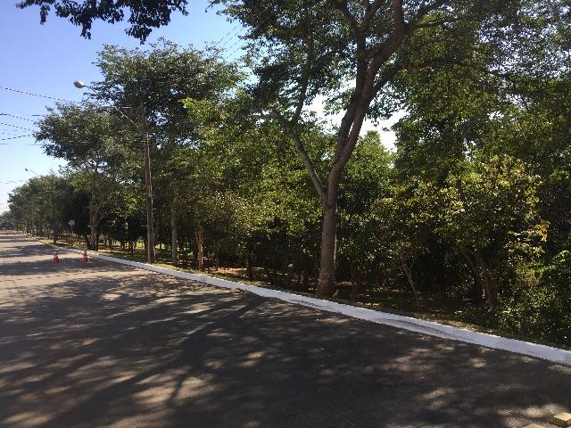 Condomínio jardins lote Madri de 487m², R$ 500 MIL - Foto 4