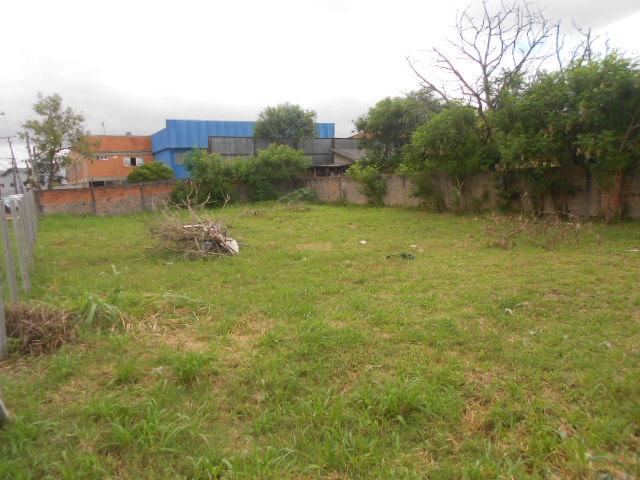 Terreno para alugar em Emiliano perneta, Pinhais cod:42018 - Foto 2