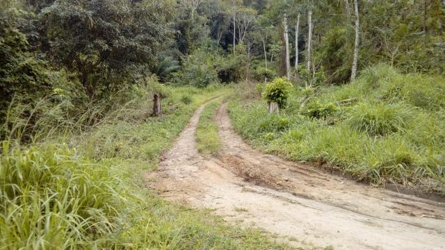 Fazenda Itajuípe - Foto 10