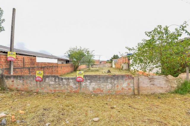 Terreno à venda em Guatupê, São josé dos pinhais cod:144761 - Foto 4