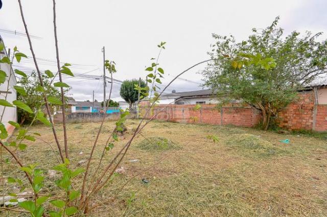 Terreno à venda em Guatupê, São josé dos pinhais cod:144761 - Foto 13