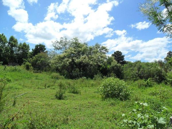 Terreno à venda em Belém novo, Porto alegre cod:MI13170 - Foto 9