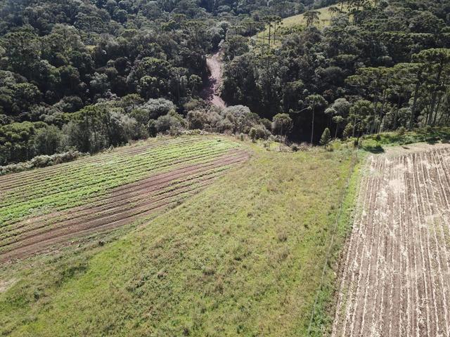 Terreno com vista em Urubici ao lado do Morro da Igreja terreno/lote/área - Foto 4
