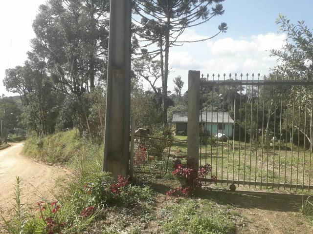 Chac 20.000m2 em Sjp na Col. Murici, troca imoveis, carro ou casa na praia - Foto 3