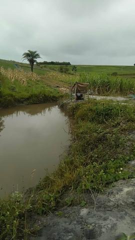 Vendo terreno aqui em São Sebastião Alagoas