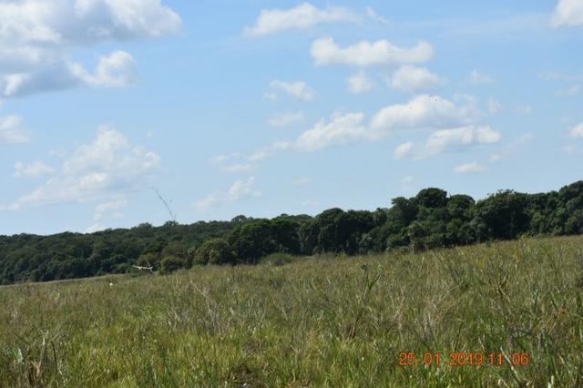 Fazenda na região de corumba ms - Foto 6